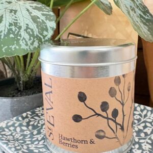 St.Eval - Hawthorne & Berries Candle